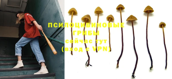 первитин Козловка