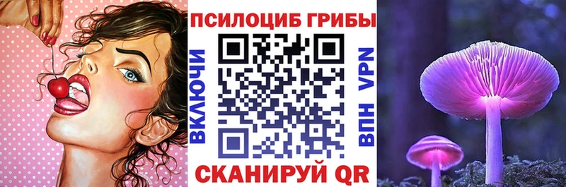 Галлюциногенные грибы Psilocybe наркота Ковдор